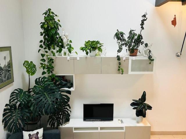Apartamento Via Breda 120